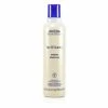 Aveda 87808 250 ml Brilliant Shampoo