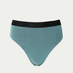Beth Richards Mesh Overlay Kim Bikini Bottom in Mint - women